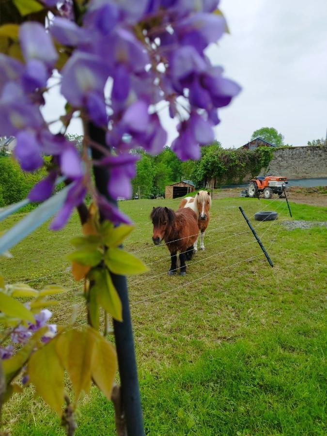 Le Domaine De Pivette Chambre Climatisee Et Insolite Avec Terrasse Privative Avranches Buitenkant foto